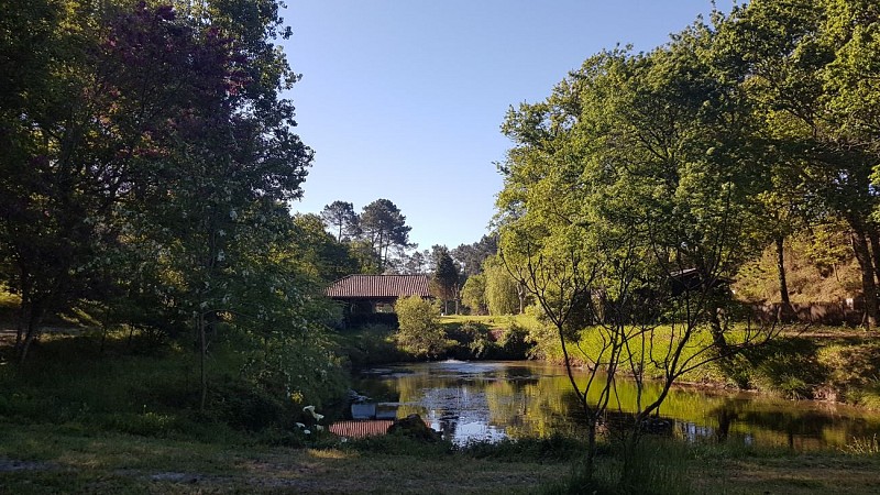 CASTETS - Palika Lodge_Ext7