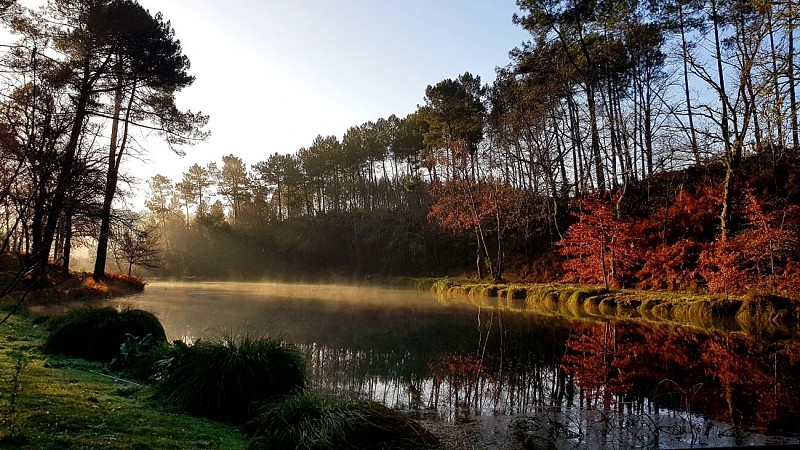 CASTETS - Palika Lodge_Ext9