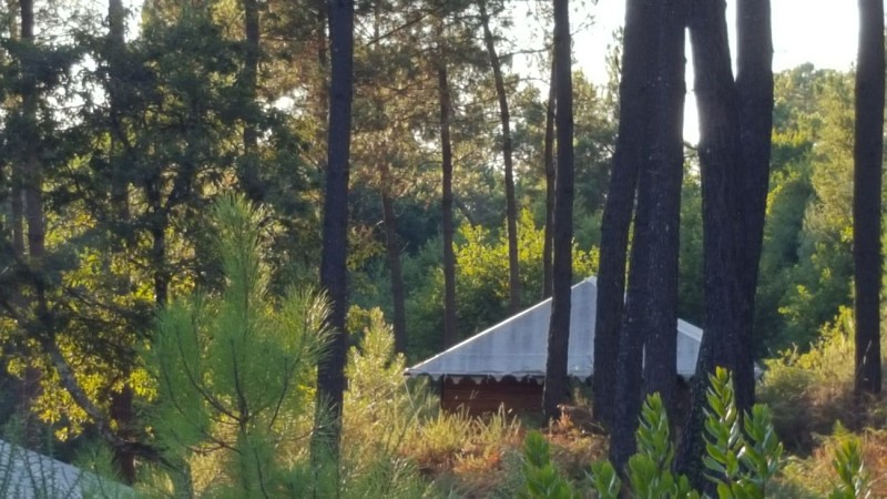 CASTETS - Palika Lodge_Ext10