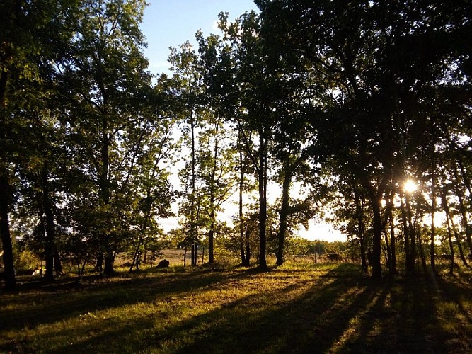 emplacement camping criniere au vent