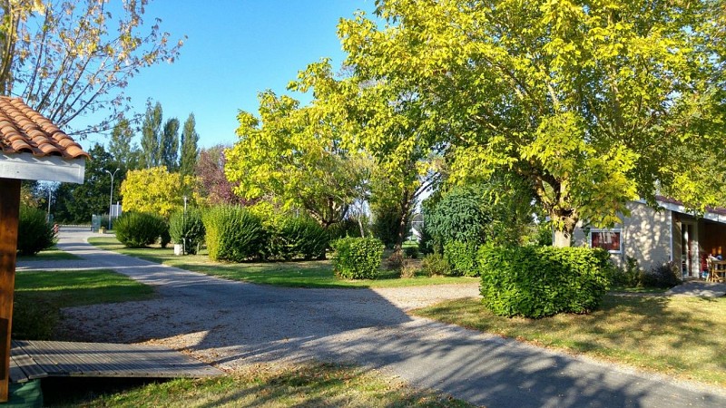 14681962_1593836093975316_7490310182922709619_o