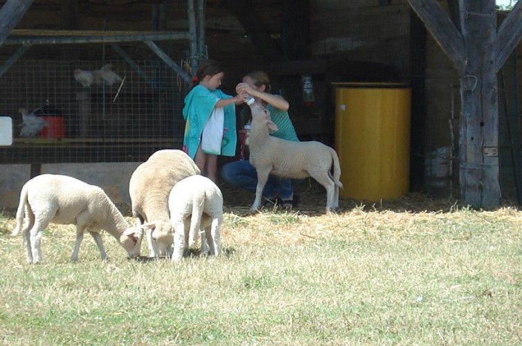 cclt_hpa_charmant (1)