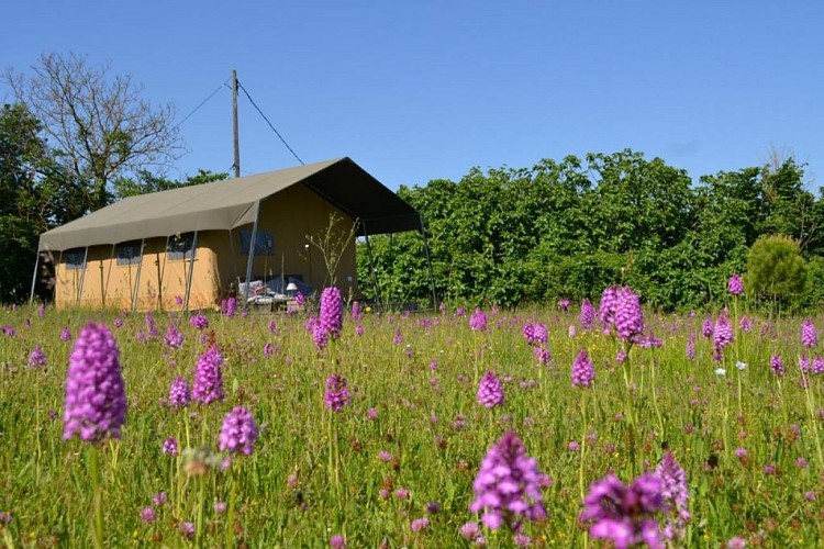 Simply Canvas 2024 (2)