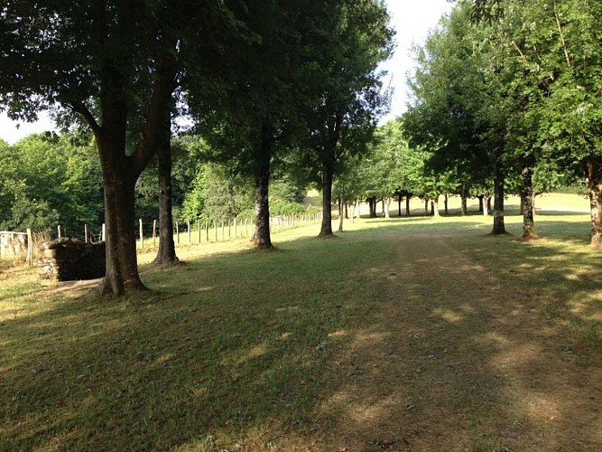 camping tellechea_emplacement