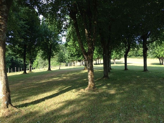 camping tellechea_emplacement_2