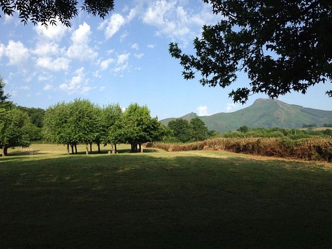 camping tellechea_terrain