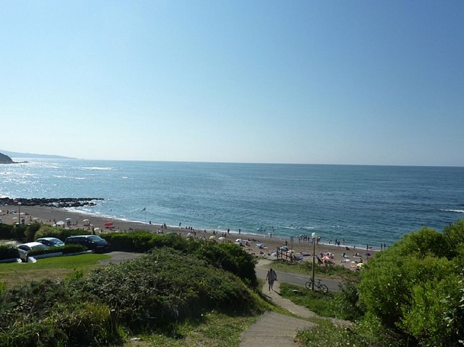 MEDIA-dc001300-bbc3-4c7d-9149-4eee80fe01ef