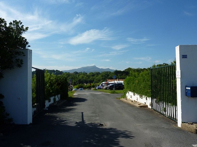 MEDIA-57bc3cf0-ec1a-4e30-9c1b-6c6ea8fa2f64