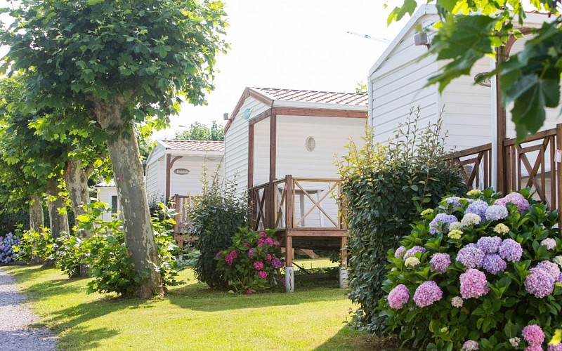 ArenaJuilAout2018_Masurel_0153 1440x900