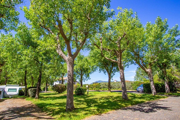 Camping Alturan - Hendaye Tourisme-13