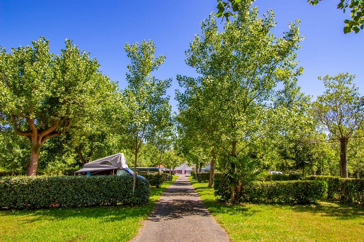 Camping Alturan - Hendaye Tourisme-14
