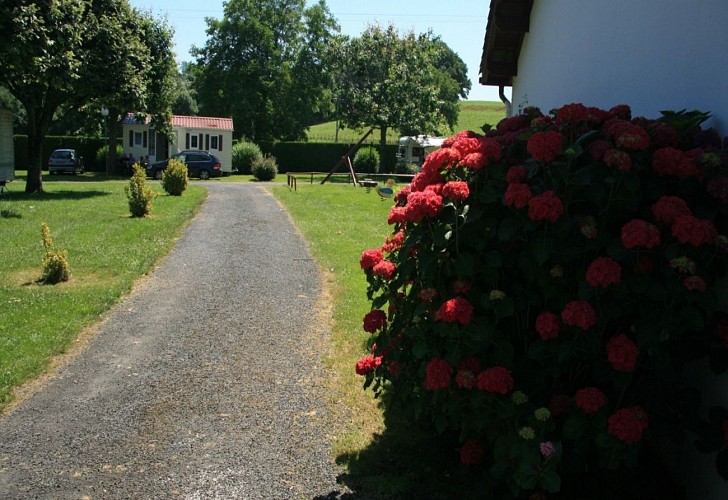 Europ-camping-accès-mobilhome-nature-fleurs-ascarat