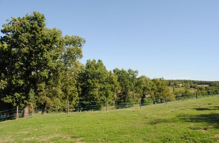 péchivard 10 1024-673