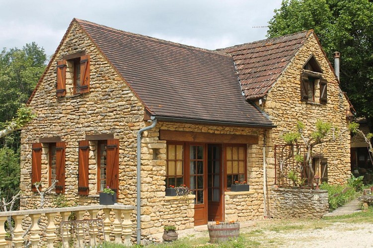 Les Platanes à Sarlat