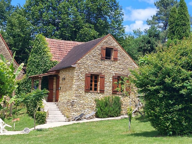 Les Platanes à Sarlat_1