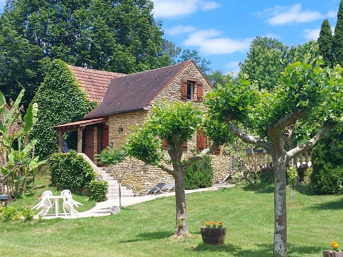 Les Platanes à Sarlat_2