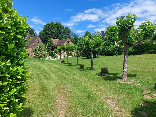 Les Platanes à Sarlat_5