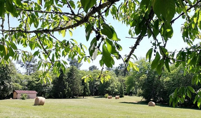 Environnement Petit gîte 