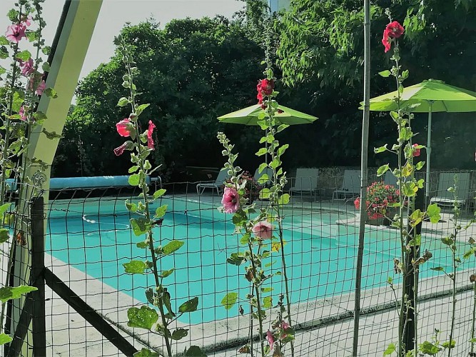 Gîte-Michel-St-Méard-piscine-rose-trémières