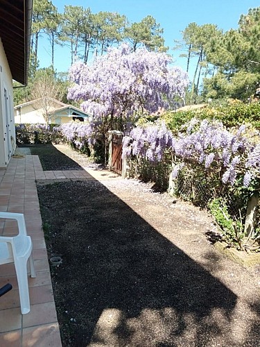 Maison Rius_Messanges_Landes Atlantique Sud