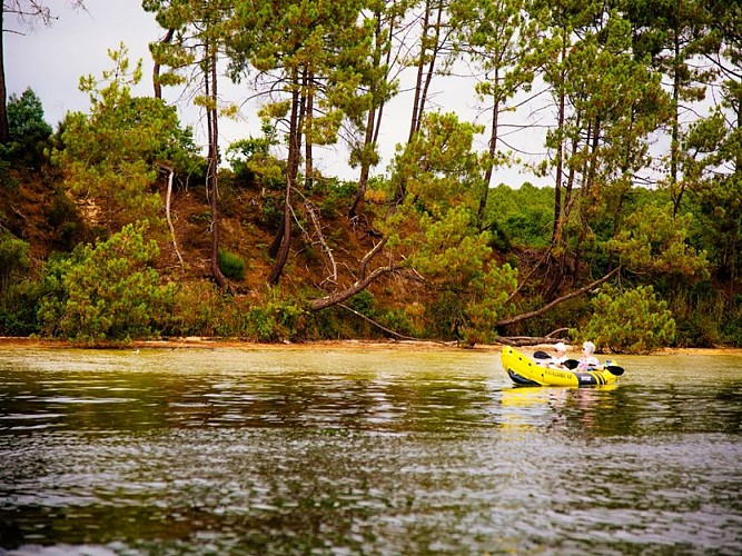 bateau-crique-bisca-decouverte