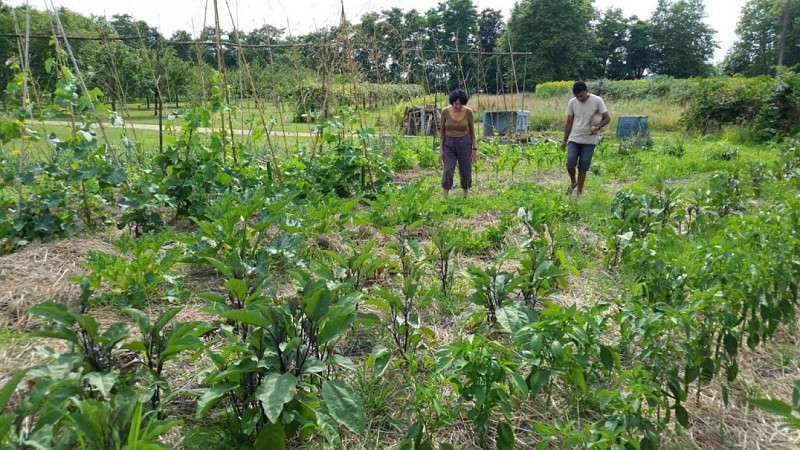 La Ferme du Claous-Seddiki8_Orx_Landes Atlantique Sud