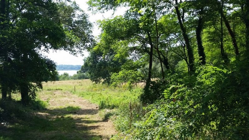 La Ferme du Claous-Seddiki15_Orx_Landes Atlantique Sud