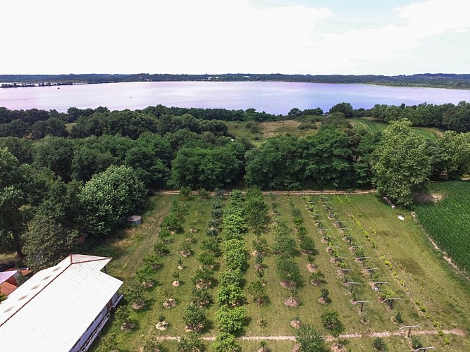 Seddiki_aerienne2_web