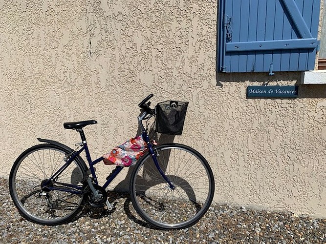 2023_cerantola_colibri8 (Copier)