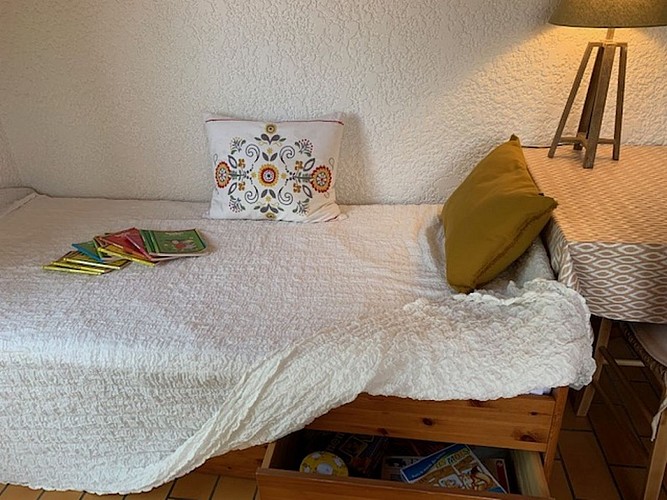 2023_cerantola_colibri1 (Copier)