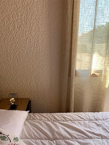 2023_cerantola_colibri6 (Copier)