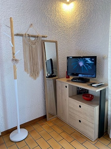 2023_cerantola_colibri4 (Copier)