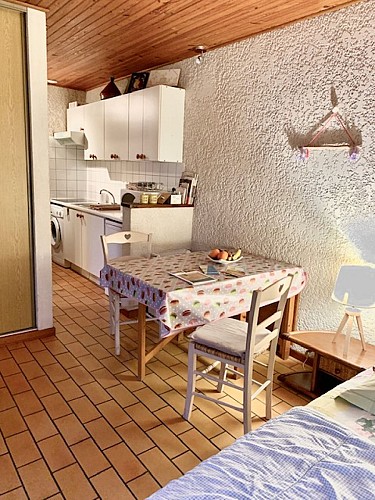 2022_cerantola_rouge_gorge