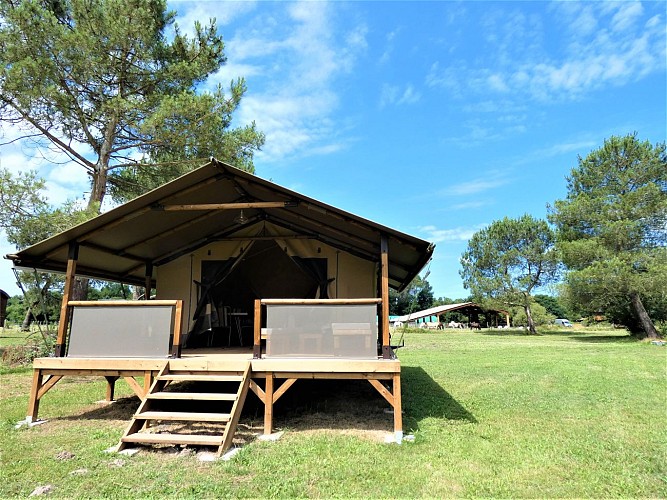 Lodge Kilimandjaro avec Gîtes de France Landes à St Julien en Born