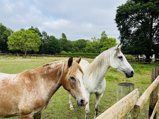 2026_gite_amadeus (5) (Copier)