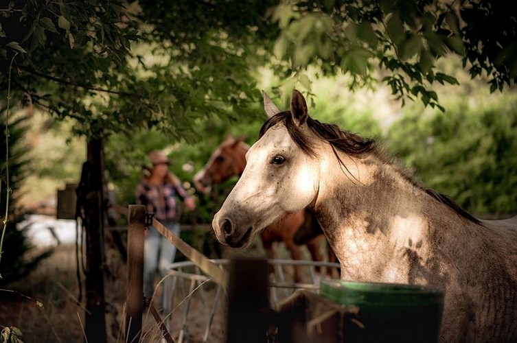 2023_gite_le_clos (1) (Copier)