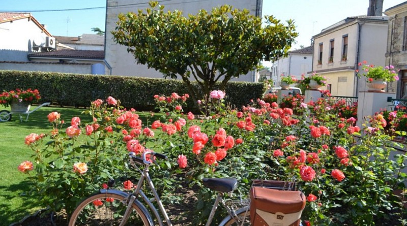 La Roseraie - extérieur