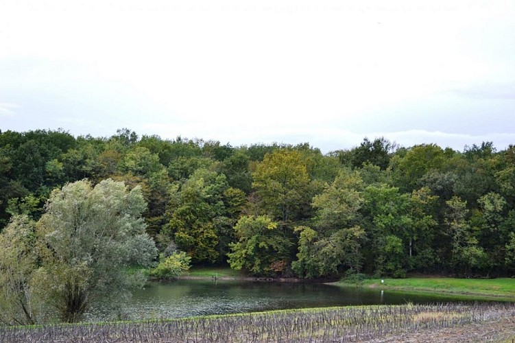 HLOAQU047FS00066_MONTIGNAC TOUPINERIE_557001_1