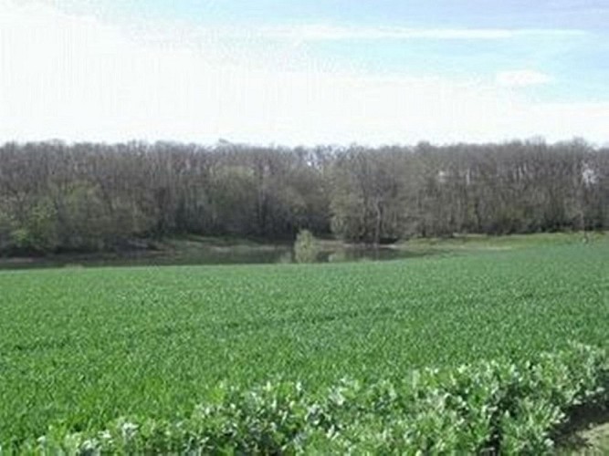 HLOAQU047FS00066_MONTIGNAC TOUPINERIE_557001_3