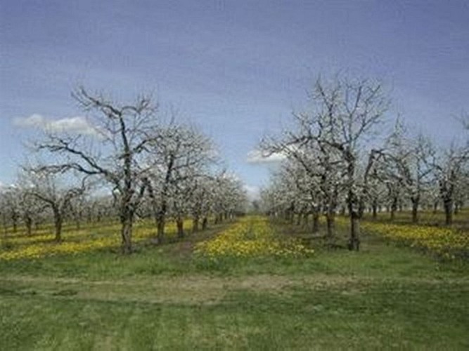 HLOAQU047FS00066_MONTIGNAC TOUPINERIE_557001_9