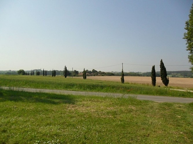 LE PRESSOIR PUYSSERAMPION VUE