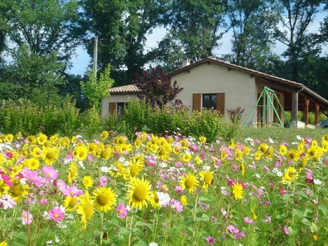 LGG688_ExterieurMaison