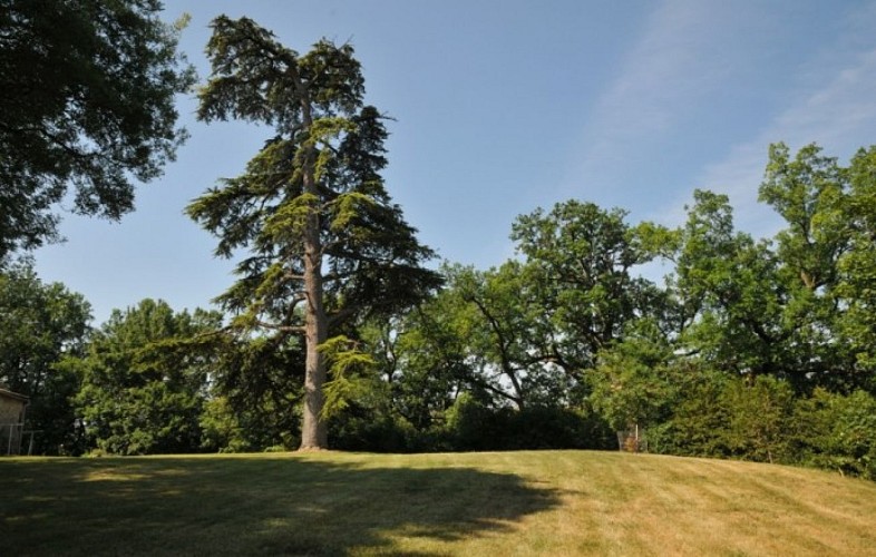 Gite-des-Tournesols-9