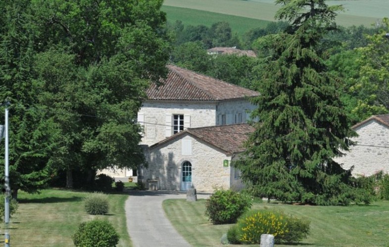 Gite-des-Tournesols-10