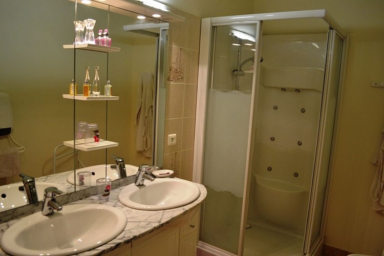 GDF_900001_stecolombe_palisse_2