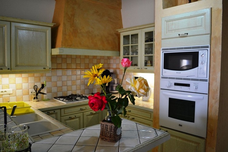 GDF_900001_stecolombe_palisse