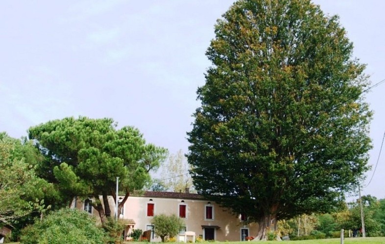 Gîte du Planéra 04