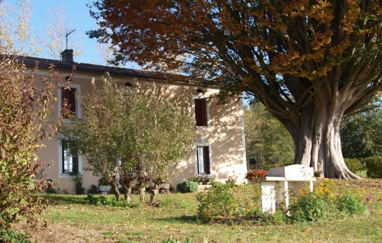 Gîte du Planéra 08