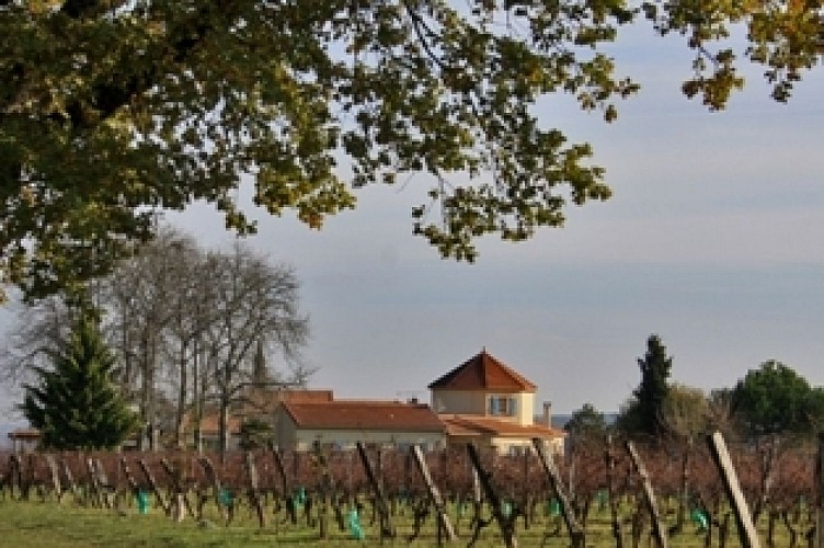 Le gîte Les Vignes de Michelet