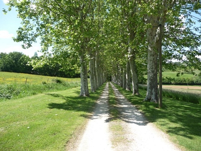 Gîte de la Grange de Pechcaillou